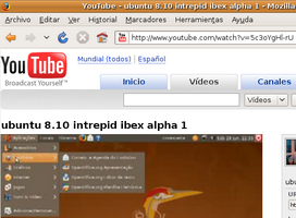 Youtube en Ubuntu con Flash